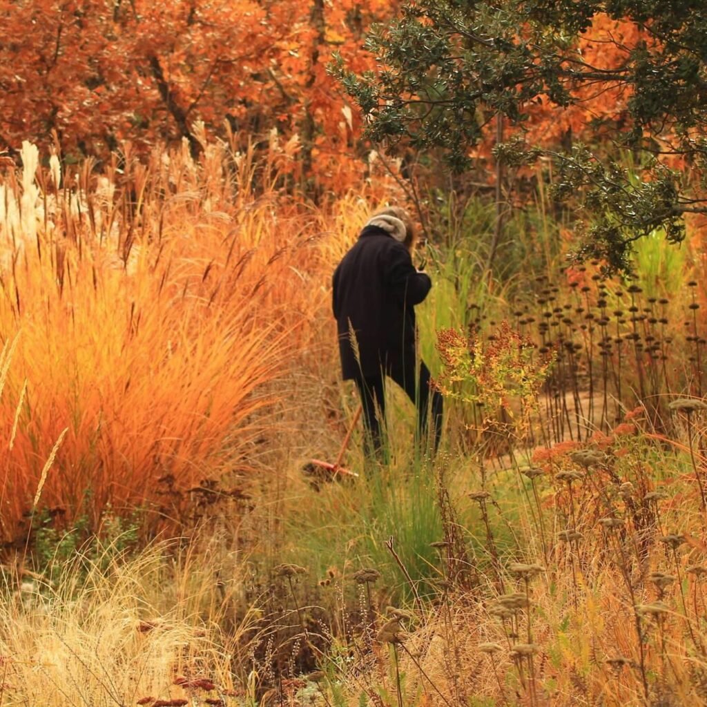 469333134_18378172549109036_8591805317777033786_n